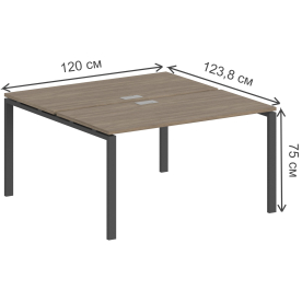 Компьютерный стол SG.241