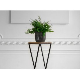 Цветочница Теренс 10