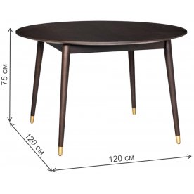 Деревянный стол 77IP-DT605BR