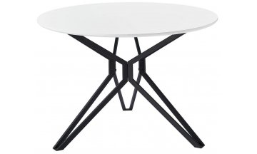 Деревянный стол DT-62 110 белый / черный