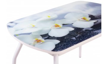 Деревянный стол Элла