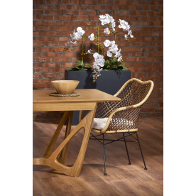 Деревянный стол Даниэле