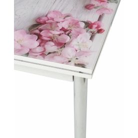 Стеклянный стол 4001