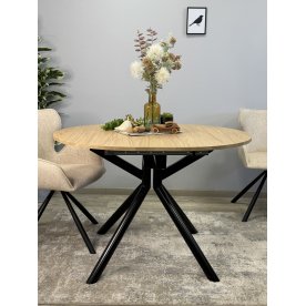 Деревянный стол DO1100