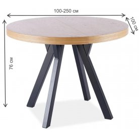 Деревянный стол Domingo 100-250/100/76