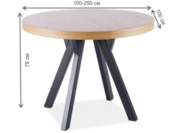 Деревянный стол Domingo 100-250/100/76