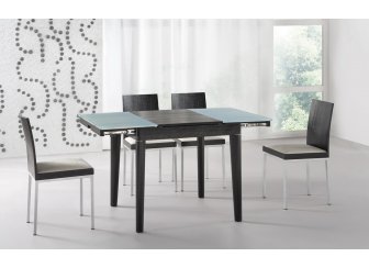 (НЕАКТИВЕН, больше не поставляется) Обеденная группа "стол HC-6015Т, стул HC-6015С венге" (ES)