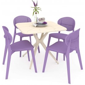 Обеденная группа SHT-DS161