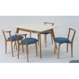 Обеденная группа Сканди Франк 120