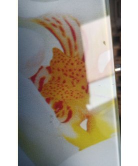 Стеклянный стол Танго