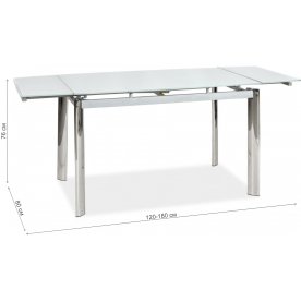 Стеклянный стол GD020