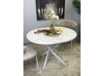 Стеклянный стол R1100s