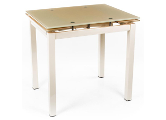 Стеклянный стол TB017-26