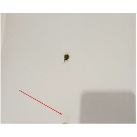 Компьютерное кресло Born