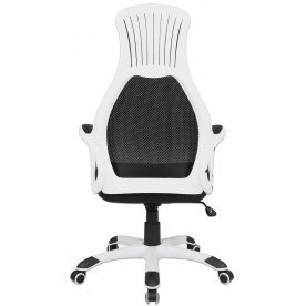 Компьютерное кресло Premium Genesis EX-517