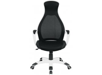 Компьютерное кресло Premium Genesis EX-517