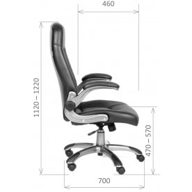 Компьютерное кресло Chairman 439