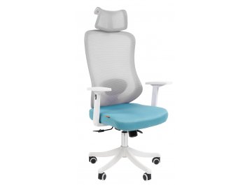 Компьютерное кресло Chairman CH563