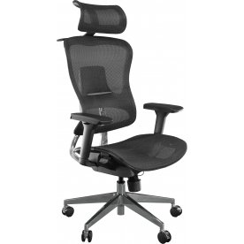 Компьютерное кресло Expert Ergo Fly