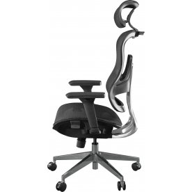 Компьютерное кресло Expert Ergo Fly