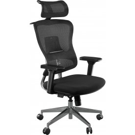 Компьютерное кресло Expert Ergo Fly