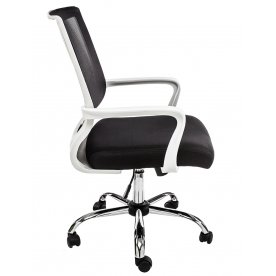 Компьютерное кресло Lion