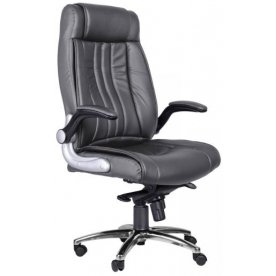 Компьютерное кресло Пегас 1