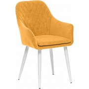 горчица / белый