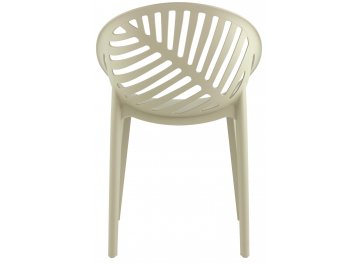 Пластиковый стул Мимоза