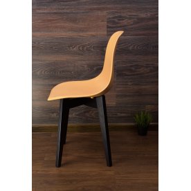 Пластиковый стул Сашш