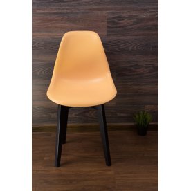 Пластиковый стул Сашш