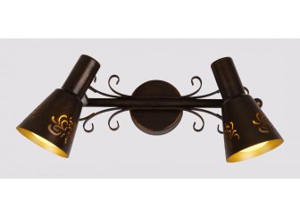 Спот Дункан CL529521