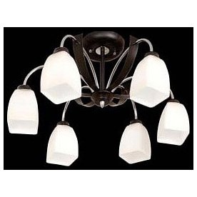 Потолочная люстра Крокус CL128161