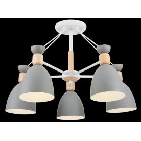 Потолочная люстра Delia FR5033CL-05W
