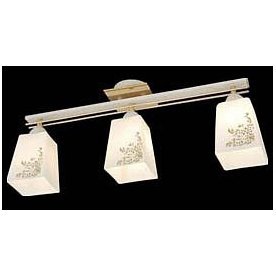 Потолочный светильник Креол CL145132