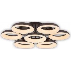 Потолочная люстра Паркер CL225195R