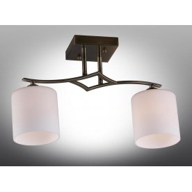 Потолочный светильник Pisticci OML-55317-02