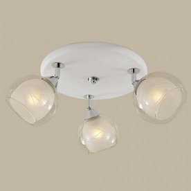 Спот Самба CL158131