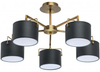 Потолочная люстра Сайрус 2 721010205