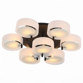 Потолочная люстра SL483.402.09