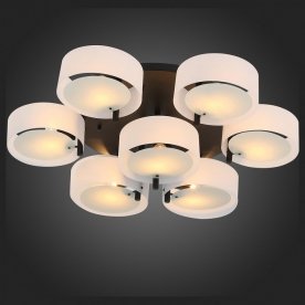 Потолочная люстра SL483.402.09