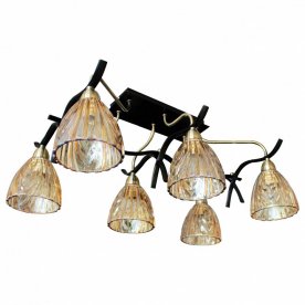 Потолочная люстра SL315.302.06