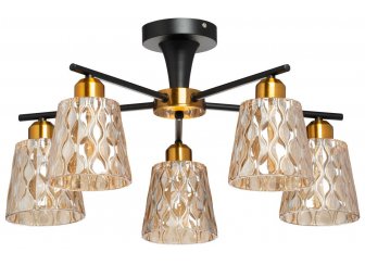 Потолочная люстра 220013005