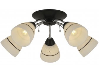 Потолочная люстра TL1255D-05BC