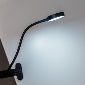 Настольная лампа Ньютон CL803071N