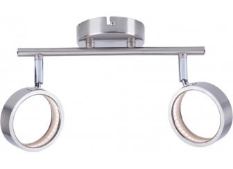 Спот TL1239Y-02SN