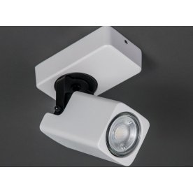 Спот Норман CL533610