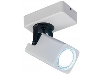 Спот Норман CL533610