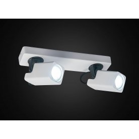 Спот Норман CL533620