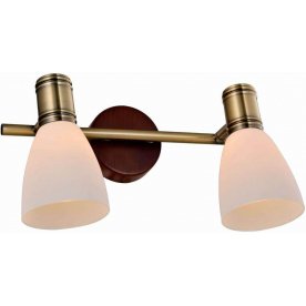 Спот Sharyl TL3720Y-02BB
